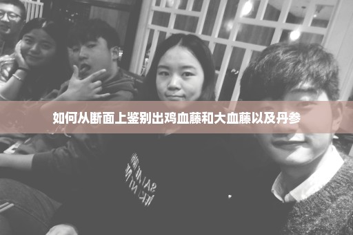 如何从断面上鉴别出鸡血藤和大血藤以及丹参