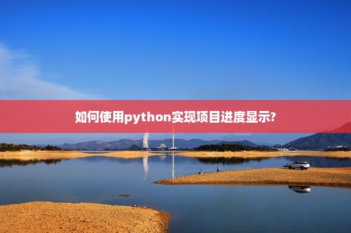 如何使用python实现项目进度显示?