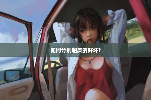 如何分别貂皮的好坏?