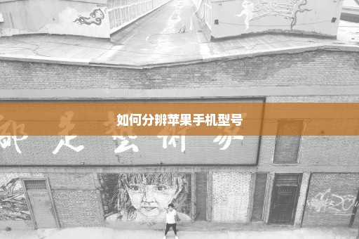 如何分辨苹果手机型号