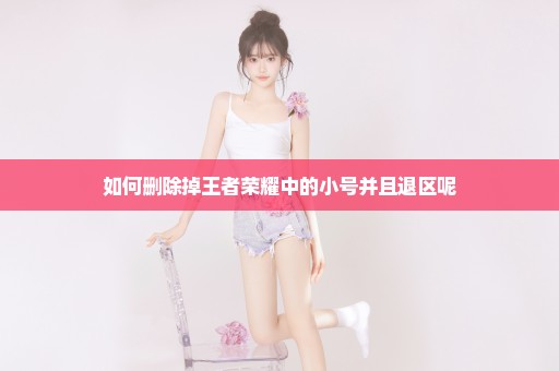 如何删除掉王者荣耀中的小号并且退区呢