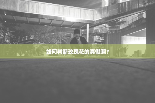 如何判断玫瑰花的真假啊？