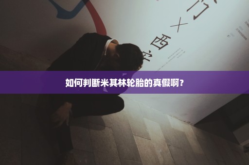 如何判断米其林轮胎的真假啊？