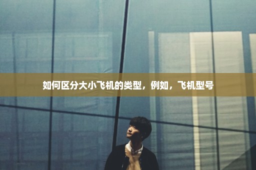 如何区分大小飞机的类型，例如，飞机型号