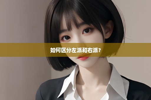 如何区分左派和右派？
