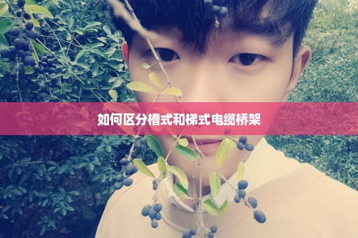如何区分槽式和梯式电缆桥架