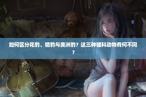 如何区分花豹、猎豹与美洲豹？这三种猫科动物有何不同？