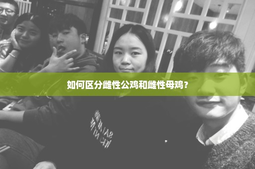 如何区分雌性公鸡和雌性母鸡？