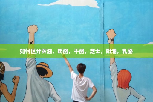 如何区分黄油，奶酪，干酪，芝士，奶油，乳酪