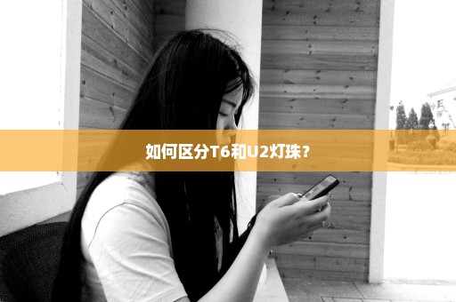 如何区分T6和U2灯珠？