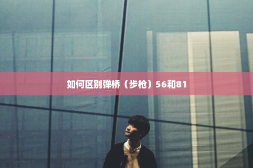 如何区别弹桥（步枪）56和81