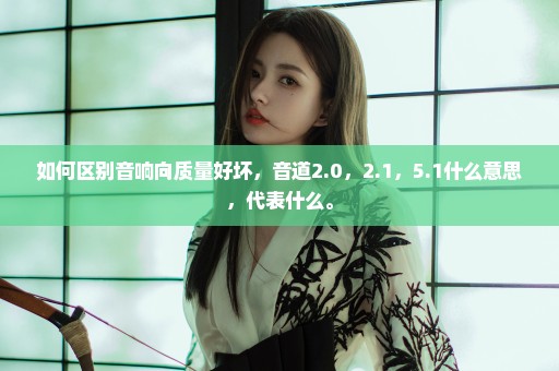 如何区别音响向质量好坏，音道2.0，2.1，5.1什么意思，代表什么。