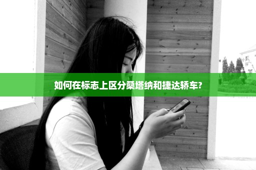 如何在标志上区分桑塔纳和捷达轿车?