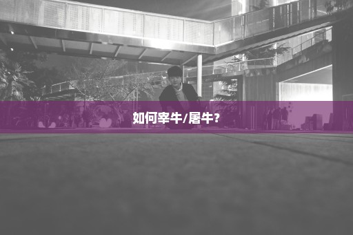 如何宰牛/屠牛？