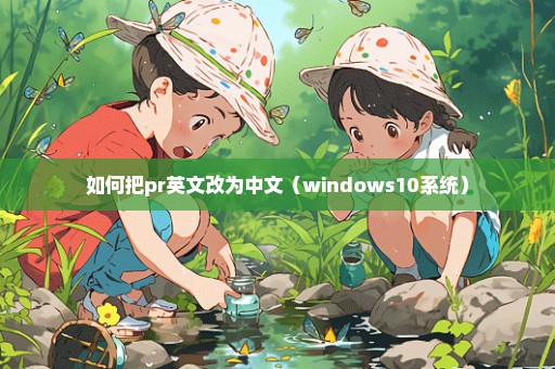 如何把pr英文改为中文（windows10系统）