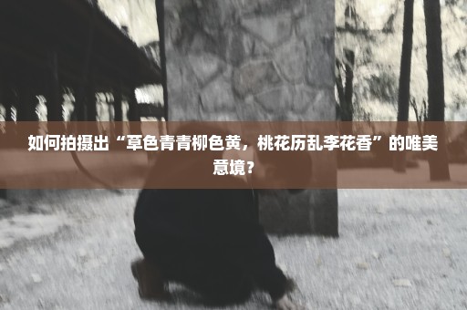 如何拍摄出“草色青青柳色黄，桃花历乱李花香”的唯美意境？
