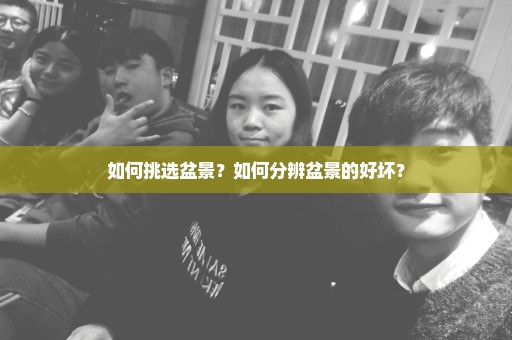 如何挑选盆景？如何分辨盆景的好坏？
