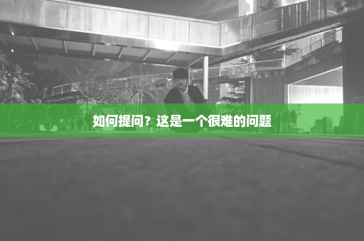 如何提问？这是一个很难的问题