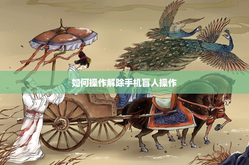 如何操作解除手机盲人操作
