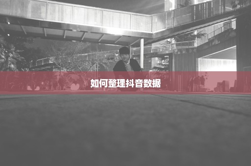 如何整理抖音数据