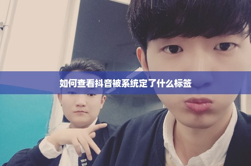 如何查看抖音被系统定了什么标签