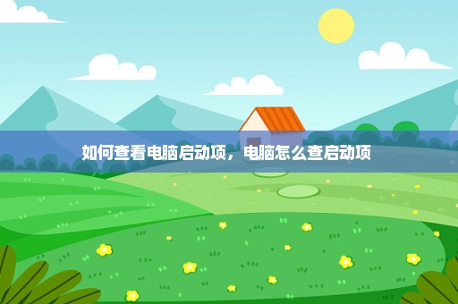 如何查看电脑启动项，电脑怎么查启动项 