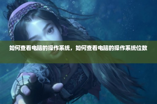 如何查看电脑的操作系统，如何查看电脑的操作系统位数 