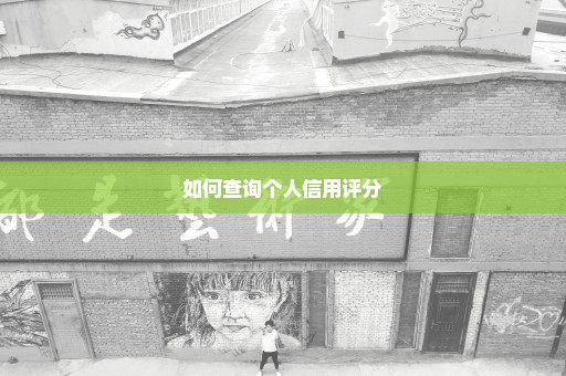 如何查询个人信用评分