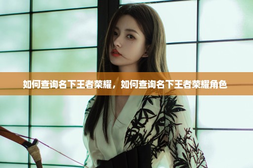 如何查询名下王者荣耀，如何查询名下王者荣耀角色 