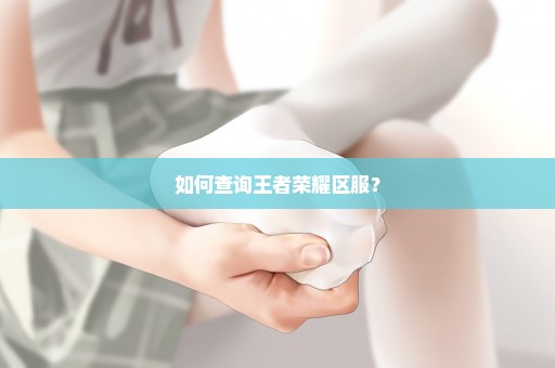 如何查询王者荣耀区服？