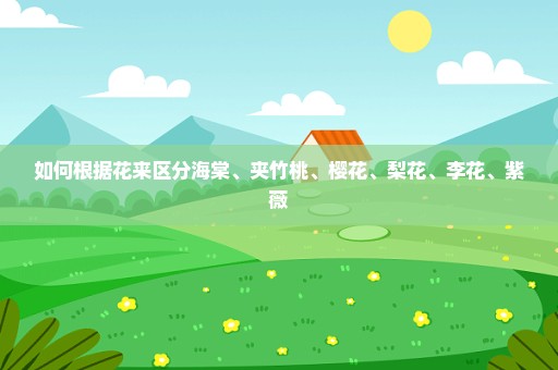 如何根据花来区分海棠、夹竹桃、樱花、梨花、李花、紫薇