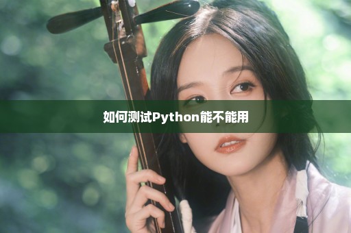 如何测试Python能不能用