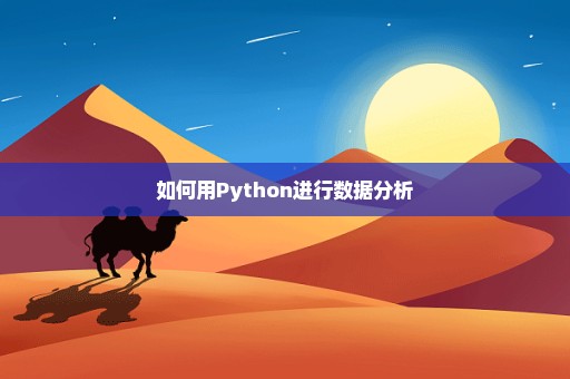 如何用Python进行数据分析
