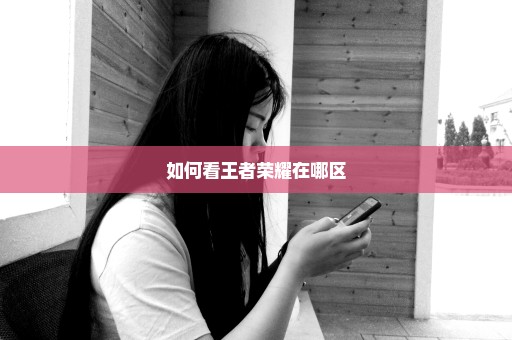 如何看王者荣耀在哪区