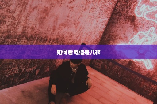 如何看电脑是几核