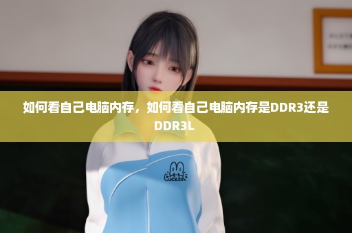 如何看自己电脑内存，如何看自己电脑内存是DDR3还是DDR3L 