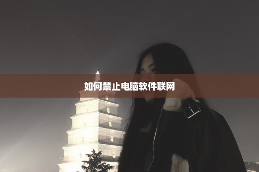 如何禁止电脑软件联网