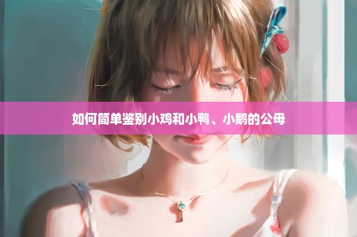如何简单鉴别小鸡和小鸭、小鹅的公母