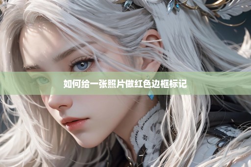 如何给一张照片做红色边框标记