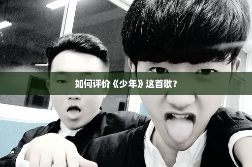 如何评价《少年》这首歌？
