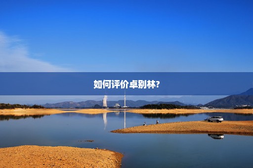 如何评价卓别林?