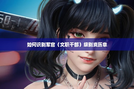 如何识别军官（文职干部）级别资历章