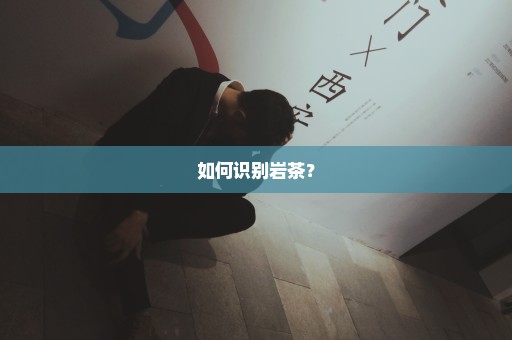 如何识别岩茶？