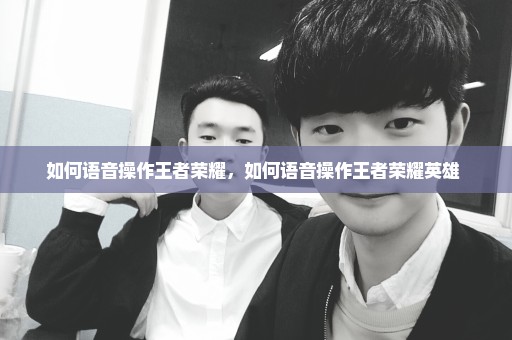 如何语音操作王者荣耀，如何语音操作王者荣耀英雄 