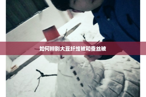 如何辨别大豆纤维被和蚕丝被