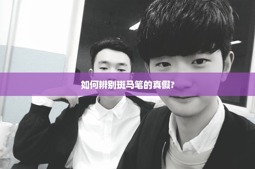 如何辨别斑马笔的真假?