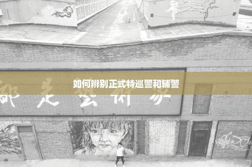 如何辨别正式特巡警和辅警