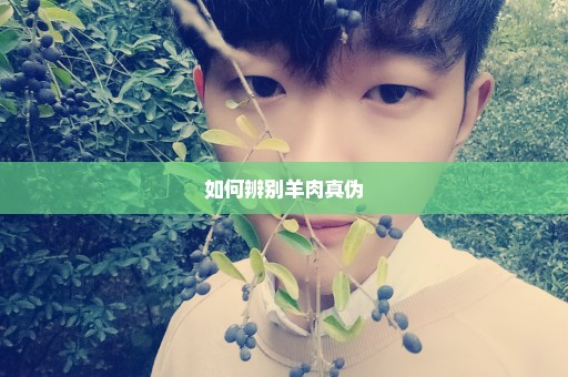 如何辨别羊肉真伪