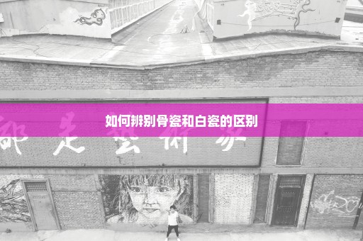 如何辨别骨瓷和白瓷的区别