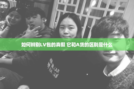 如何辨别LV包的真假 它和A货的区别是什么